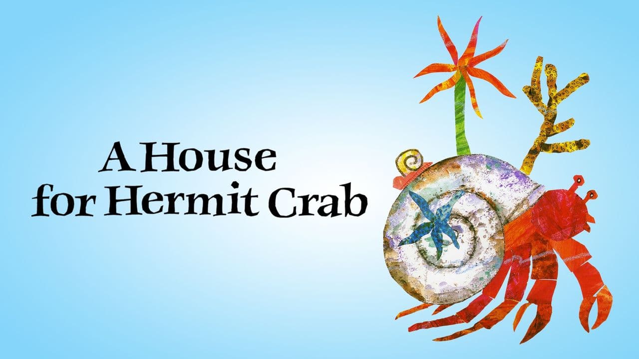 House for Hermit Crab