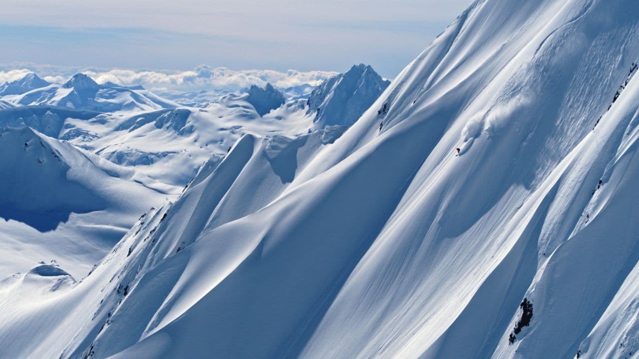 Shaped by Descent