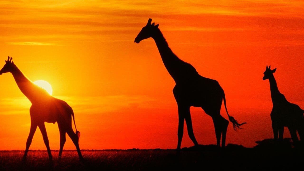 Africa from the Ground Up