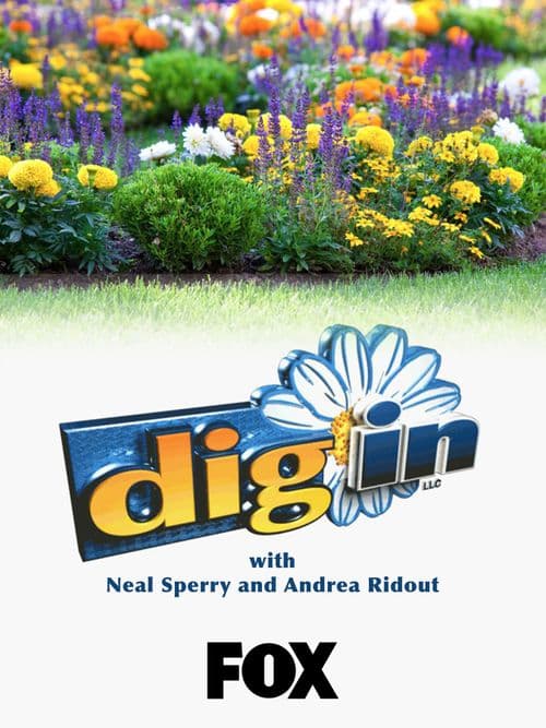 Dig In