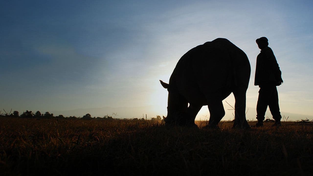 Ol Pejeta Diaries