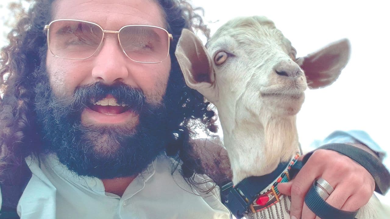 Travel with a Goat