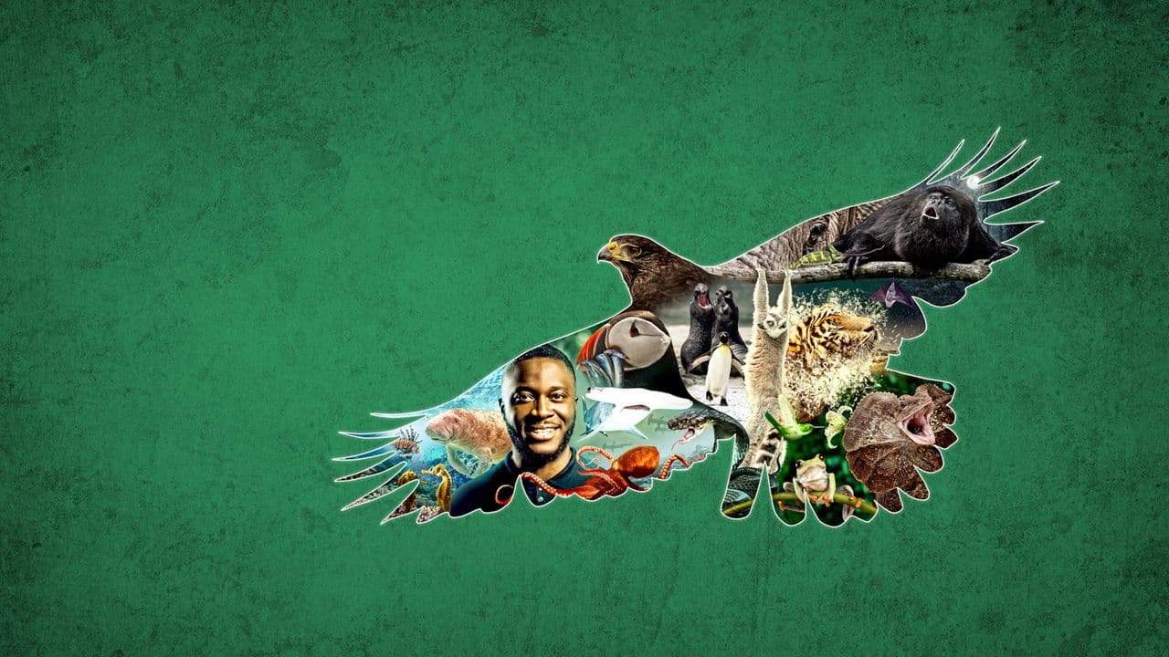 Impossible Animals