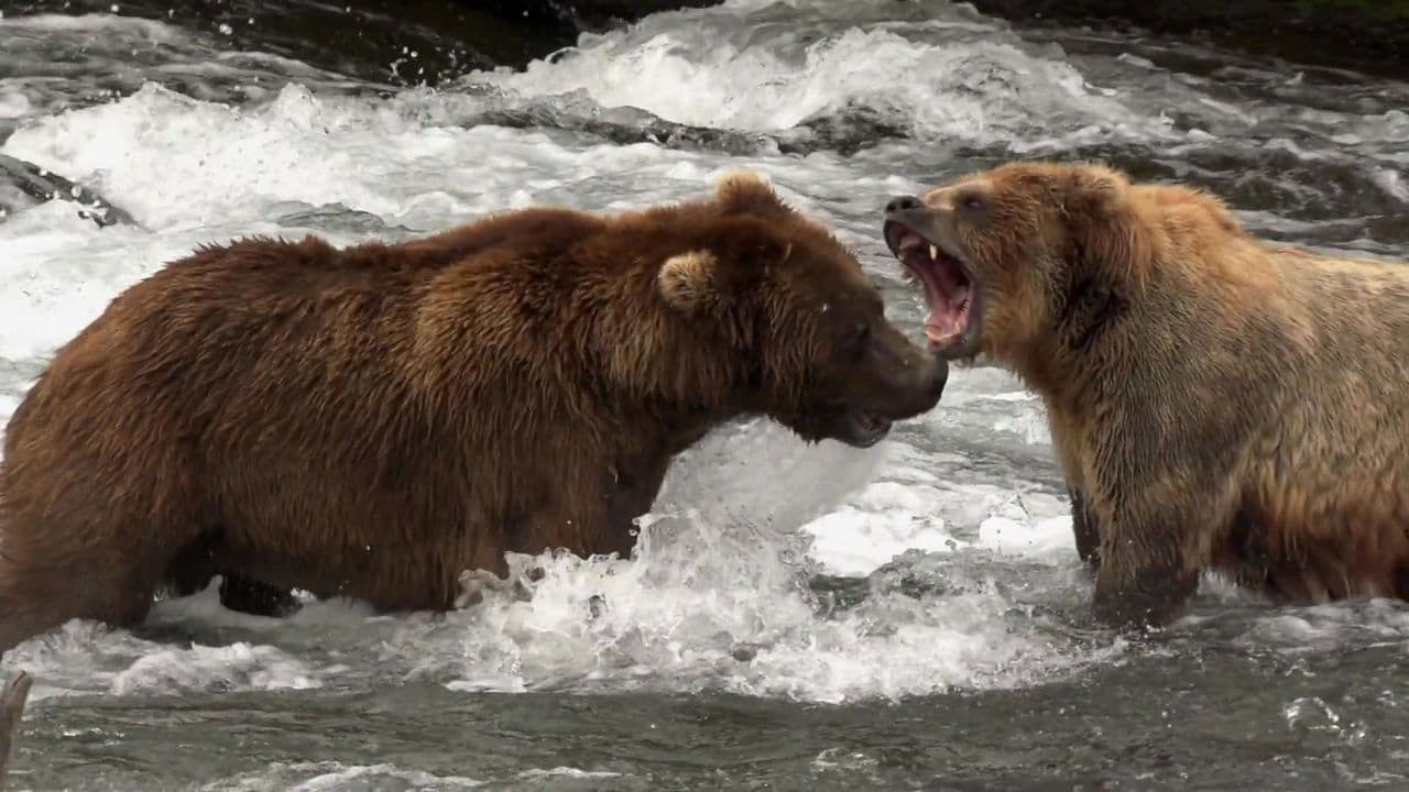 Nature's Fight Club