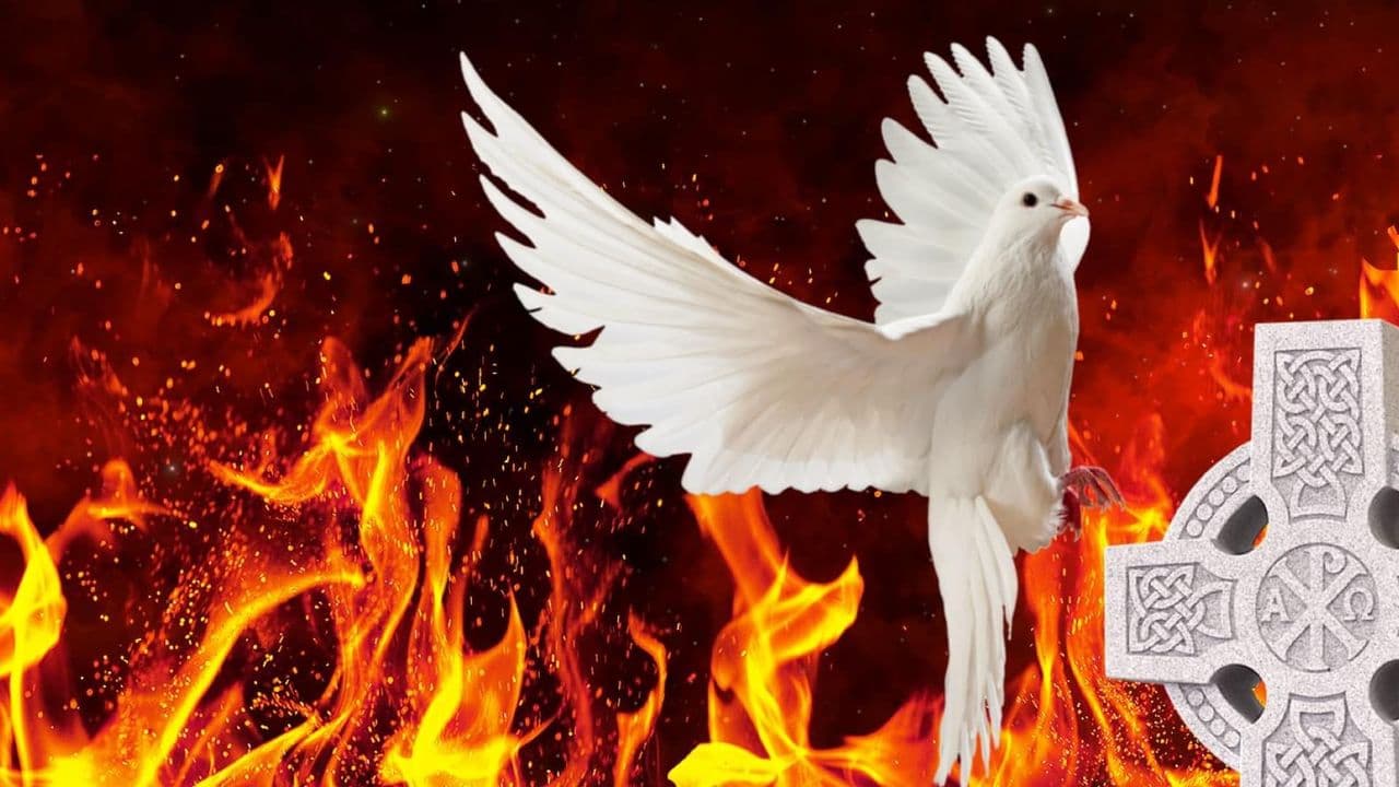 Witnesses Of the Holy Spirit